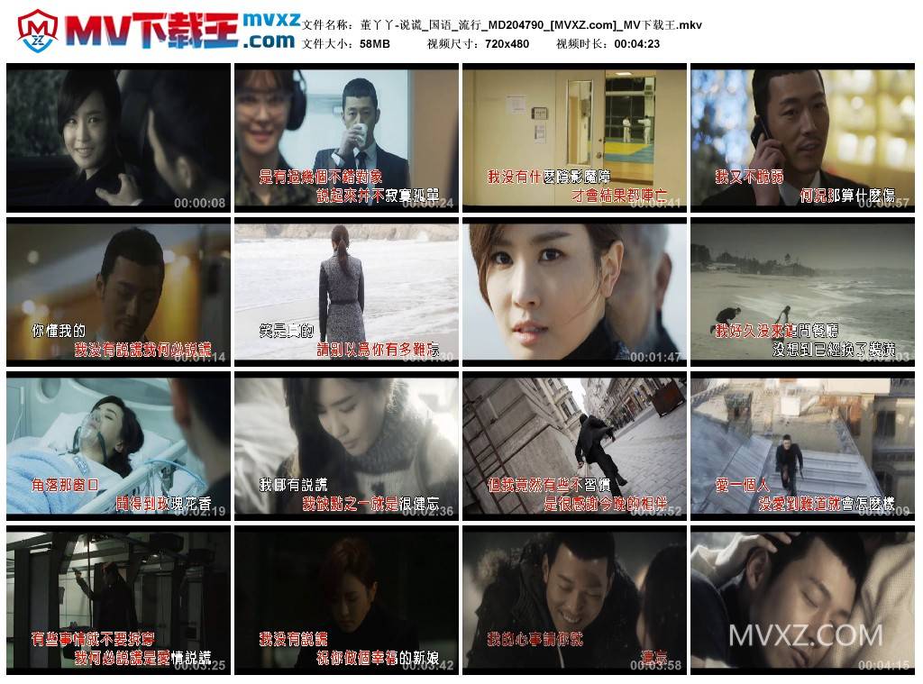 董丫丫-说谎_国语_流行_MD204790